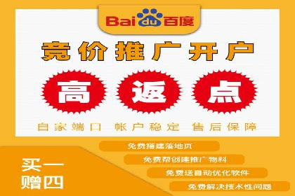 百度推广费用ROI提升策略与案例